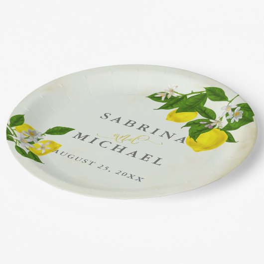 ヴィンテージウォーターカラーレモンズガーデンパーティー ペーパープレート (アングル)