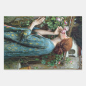 ヴィンテージウォーターハウスウィメンズデカップラッピング紙 ラッピングペーパーシート (正面)