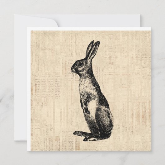ヴィンテージウサギイラスト クラシカルなウサギ カード (裏面)