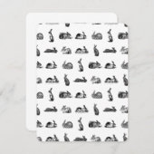 ヴィンテージウサギクラシックズカスタムBGカラー 招待状 (正面/裏面)