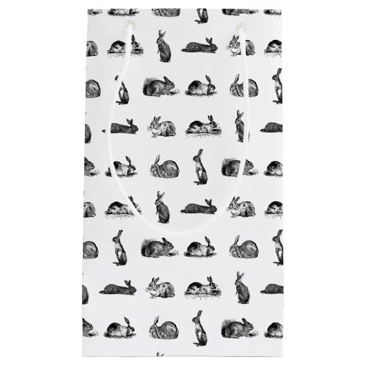 ヴィンテージウサギバニーズアートカスタム背景色 スモールペーパーバッグ (正面)