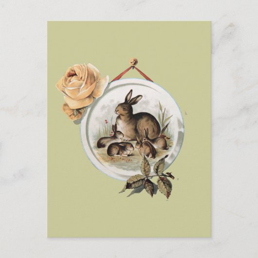ヴィンテージウサギ科 ポストカード (正面)