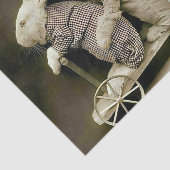 ヴィンテージウサギ&キャットオントイスクーター 薄葉紙 (詳細)