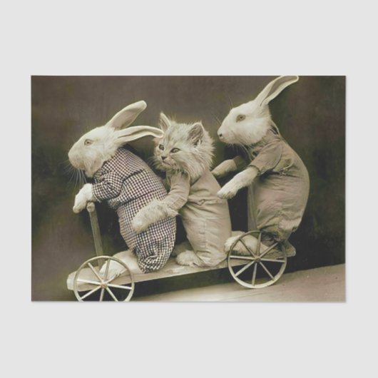 ヴィンテージウサギ&キャットオントイスクーター 薄葉紙 (正面)