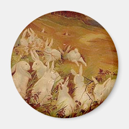 ヴィンテージウサギ マグネット (正面)