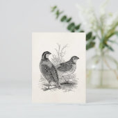 ヴィンテージウズラの鳥 – パーソナライズされたレトロゲームバード ポストカード (スタンド正面)