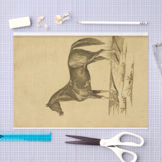 ヴィンテージウマエフエマデクページ 薄葉紙 (クラフト)