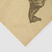 ヴィンテージウマエフエマデクページ 薄葉紙 (詳細)