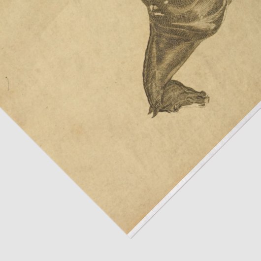 ヴィンテージウマエフエマデクページ 薄葉紙 (詳細)