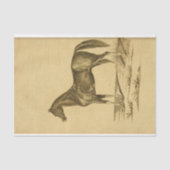 ヴィンテージウマエフエマデクページ 薄葉紙 (正面)