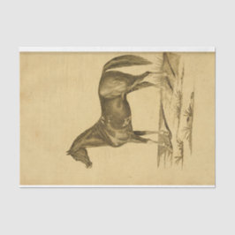 ヴィンテージウマエフエマデクページ 薄葉紙