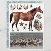 ヴィンテージウマエフエラビクトリアンザエラ (正面/裏面)