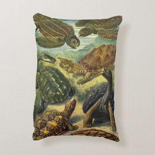 ヴィンテージウミガメとウミガメby Ernst Haeckel アクセントクッション (裏面(縦))