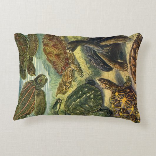 ヴィンテージウミガメとウミガメby Ernst Haeckel アクセントクッション (裏面)