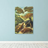 ヴィンテージウミガメとウミガメby Ernst Haeckel キャンバスプリント (インサイチュ (ウッドフロア))