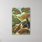 ヴィンテージウミガメとウミガメby Ernst Haeckel キャンバスプリント (正面)