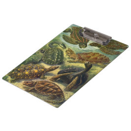 ヴィンテージウミガメとウミガメby Ernst Haeckel クリップボード