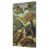 ヴィンテージウミガメとウミガメby Ernst Haeckel クリップボード (左)