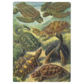 ヴィンテージウミガメとウミガメby Ernst Haeckel クリップボード (裏面)