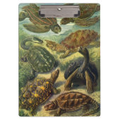 ヴィンテージウミガメとウミガメby Ernst Haeckel クリップボード (正面)