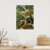 ヴィンテージウミガメとウミガメby Ernst Haeckel ポスター (キッチン)