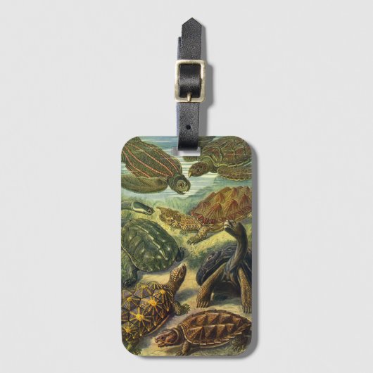 ヴィンテージウミガメとウミガメby Ernst Haeckel ラゲッジタグ (正面縦)