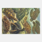 ヴィンテージウミガメとウミガメby Ernst Haeckel ラッピングペーパーシート (正面2)