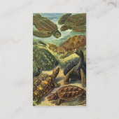 ヴィンテージウミガメとウミガメby Ernst Haeckel 名刺 (裏面)