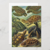 ヴィンテージウミガメとウミガメby Ernst Haeckel 招待状 (正面/裏面)