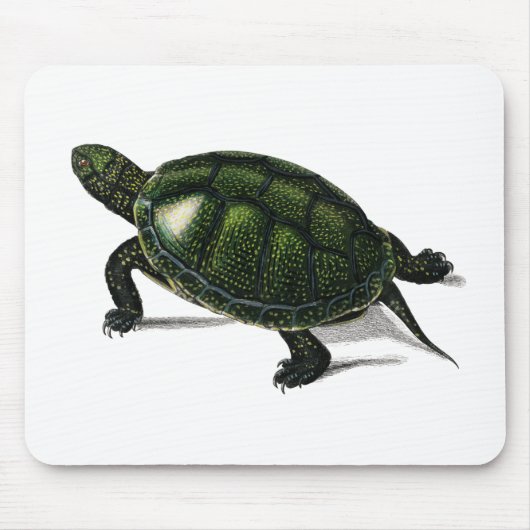 ヴィンテージウミガメ マウスパッド (正面)