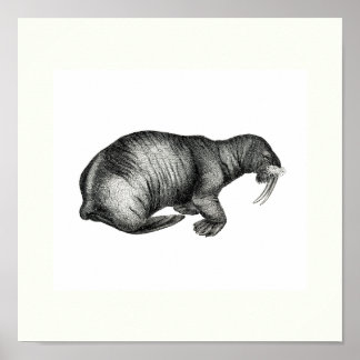 ヴィンテージウラススケッチデザインイメージスケッチ ポスター