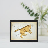 ヴィンテージウルサ専攻のベア ポストカード (スタンド正面)