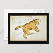 ヴィンテージウルサ専攻のベア ポストカード (正面/裏面)