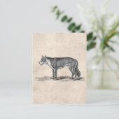 ヴィンテージウルフイラストレーション- 1800年代ウォルフテンプレート ポストカード (スタンド正面)