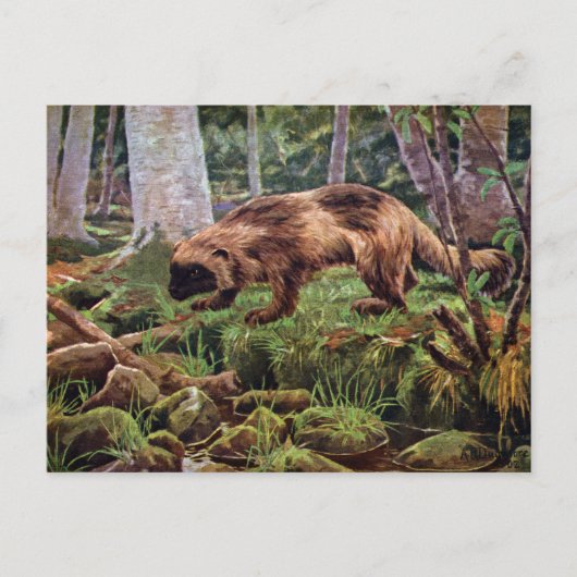 ヴィンテージウルベリンイラストレーション ポストカード (正面)