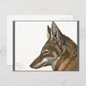 ヴィンテージウ絵画ルフレア ポストカード (正面/裏面)