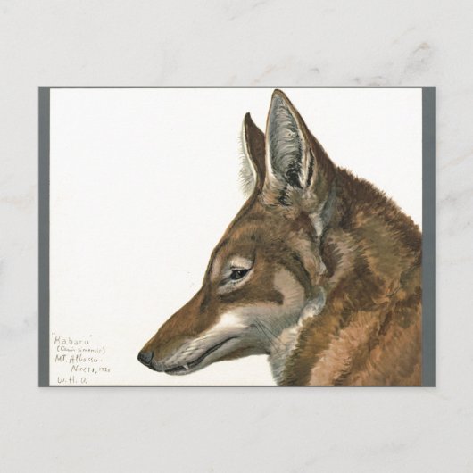 ヴィンテージウ絵画ルフレア ポストカード (正面)