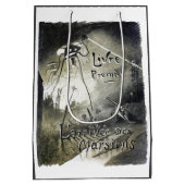 ヴィンテージエイリアン侵攻世界大戦ufo映画ポスター ミディアムペーパーバッグ (裏面)