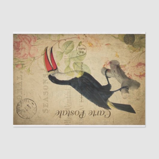 ヴィンテージエキゾチック熱帯トゥカン鳥フローラフランスの 薄葉紙 (正面)