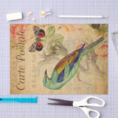 ヴィンテージエキゾチック緑の鳥と蝶フランスの 薄葉紙 (クラフト)