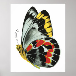 ヴィンテージエキゾチック4 ポスター