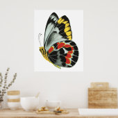 ヴィンテージエキゾチック4 ポスター (キッチン)