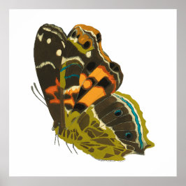 ヴィンテージエキゾチック5 ポスター