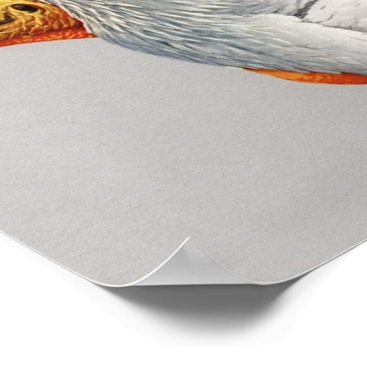 ヴィンテージエジプトのハゲワシのポスタープリント ポスター (角)