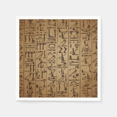 ヴィンテージエジプト象形文字紙プリント スタンダードカクテルナプキン (正面)