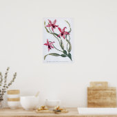 ヴィンテージエドワーディアンラン ポスター (キッチン)