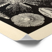 ヴィンテージエヒニデアカラーエルンストヘッケルアートプリント ポスター (角)