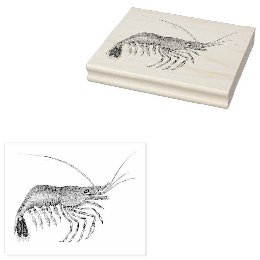 ヴィンテージエビ図解入りの、写真付きのラバーアートスタンプ ラバースタンプ (押印)