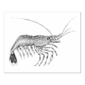 ヴィンテージエビ図解入りの、写真付きのラバーアートスタンプ ラバースタンプ (インプリント)