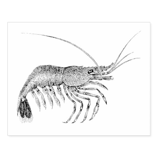 ヴィンテージエビ図解入りの、写真付きのラバーアートスタンプ ラバースタンプ (インプリント)